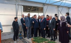 Erzincan Toplu Sera Bölgesinde İnceleme