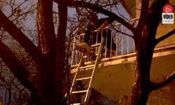 Mahsur Kalan Kedi Sağ Salim Kurtarıldı