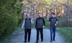 Erzincan'da Orman Projeleri İncelendi