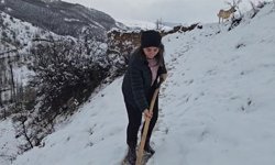 Köy Yolları Kapandı, Hayvanlar Meraya Çıkamadı