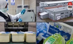 Erzincan'ın Üretim Gücü Türkiye'nin Sofralarında