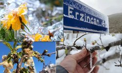 Erzincan'da Zirai Don Uyarısı