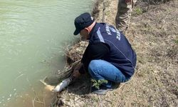Karasu Nehri'nde kaçak avcılığa karşı denetim yapıldı