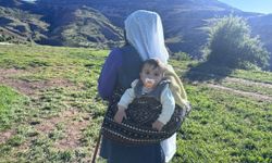Şavaklıların Yayla Mücadelesi: Tulum Peynirinin Arkasındaki Emek