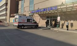 Erzincan'da Acemi Kasaplar Hastanenin Yolunu Tuttu