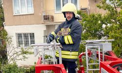 Çatıda Mahsur Kalan Kedi İtfaiye Ekiplerince Kurtarıldı