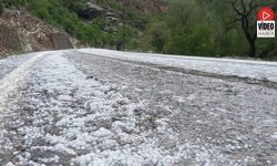 Çayırlı'da Dolu Yağışı Etkili Oldu