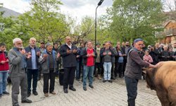 Kemaliye’de “Şükür Kurbanı” Geleneği Yaşatılıyor