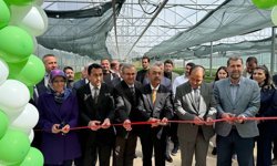 7. Geleneksel Fide Satış Etkinliği