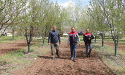 Erzincan'da Yılmaz Toyran'dan Örnek Modern Vişne Bahçesi