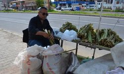 Yaylalardan Toplandı, Tezgâhlarda Satışa Sunuldu