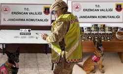 Erzincan Jandarması Nisan Ayı Bilançosunu Açıkladı