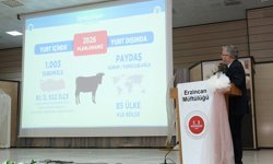 Erzincan'da Kurban Hizmetleri Tanıtım Toplantısı Düzenlendi