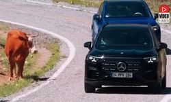 Mercedes Benz'in Lansman Rotası Erzincan Oldu