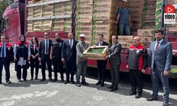 Erzincan'da 220 Üreticiye 779 Bin 520 Sebze Fidesi Dağıtıldı