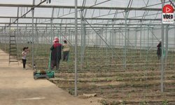 Erzincan Tarihinin En Önemli Yatırımlarından Biri Hayata Geçiriliyor
