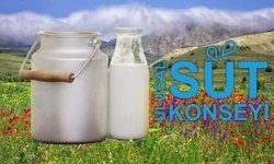 Çiğ Süt Tavsiye Fiyatı Litrede 24,30 TL Oldu