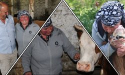Üzümlü'de Yabancı Gelin Hayvancılığa Renk Kattı