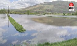 Karasu Nehri Taştı: 200 Dönüm Pancar Tarlası Sular Altında
