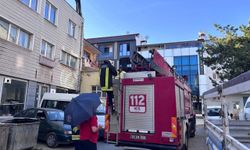 Erzincan'da karga ailesi yavrusu için kedilere ve insanlara meydan okudu