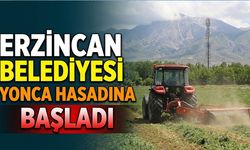 Erzincan Belediyesi Yonca Hasadına Başladı