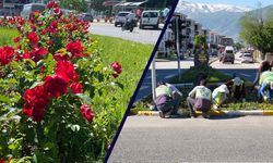Erzincan'da Şehir Geneline Yeşil Dokunuş