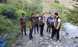 Erzincan Ormanlarında Sürdürülebilirlik Denetimi