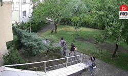 Erzincan’da Sokak Köpekleri Paniği Kameralara Yansıdı
