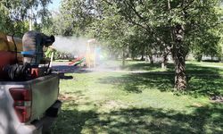 Parklar ve Mesire Alanları Tek Tek İlaçlanıyor