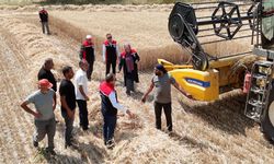 Dane Kaybını Önlemek İçin Operatörlere Uyarı