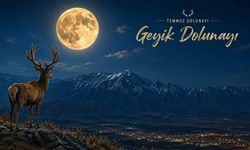 Erzincan'da Geyik Dolunayı Heyecanı Yaşandı
