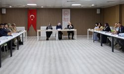Erzincan'da Kadına Yönelik Şiddet Toplantısı