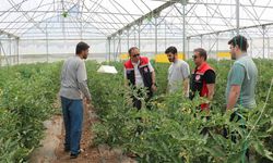 Erzincan'da Seracılık Faaliyetleri Yerinde İncelendi