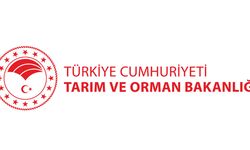 Tarım ve Orman Bakanlığı 8 Bin 500 Sözleşmeli Personel Alacak