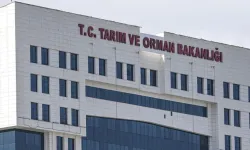 Taşra Teşkilatına Personel Alımı Yapılacak