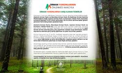 Erzincan'da Ormanlara 15 Temmuz İtibarıyla Girişler Yasak!