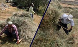 Erzincan'da Vatandaşların Kış Hazırlığı