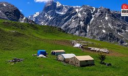 Zorlu Yayla Şartlarında Tescilli Lezzet Üretiliyor