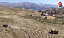 Erzincan Çilhoroz’da Hasat ve Kışlık Yem Mesaisi