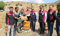 Erzincan’da 110 Bin Kovanla Bal Bereketi