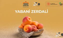 Erzincan’ın Biyolojik Mirasına Vurgu: Yabani Zerdali