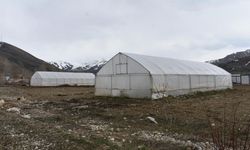 Erzincan'da Sera Örtüsü Yenileme Desteği Başvuruları Uzatıldı