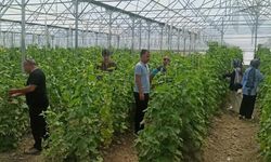 Erzincan’da Geleceğin Tarım Uzmanları Yetişiyor