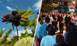 Çilek, Böğürtlen, Türkü ve Halay! Tatlısu'da Festival Coşkusu