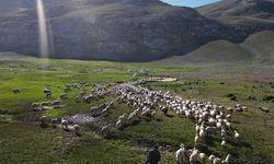 Erzincan'da Yaylalardan Dönüş Zamanı Yaklaşıyor