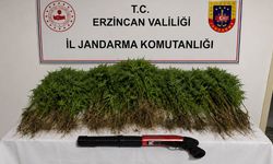 Tercan’da Narkotik Operasyonu: 1 Şüpheli Tutuklandı