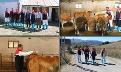 Erzincan’da Hayvanlar İçin Kene Mücadelesi Başladı