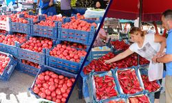 Erzincan'da Salçalık Domates ve Biberler Tezgâhlarda