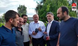 Milletvekili Karaman Cimin Üzümü Bağbozumuna Katıldı