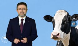 Her Büyükbaş Hayvana Dijital Kimlik Verilecek
